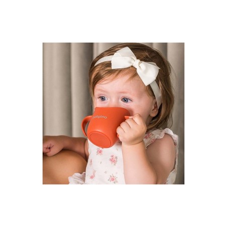 ERGONOOMILINE TREENING TASS FLOW BEEŽ