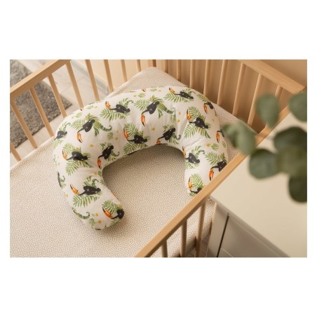 Imetamispadi – TOUCAN