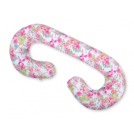 Tugipadi rasedale C, hummingbirds in flowers