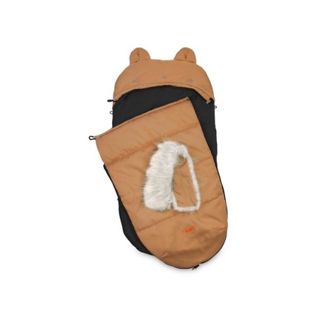 Soojakott Sierra, camel