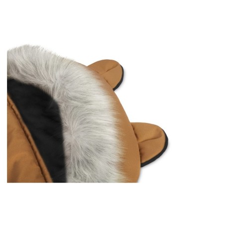 Soojakott Sierra, camel