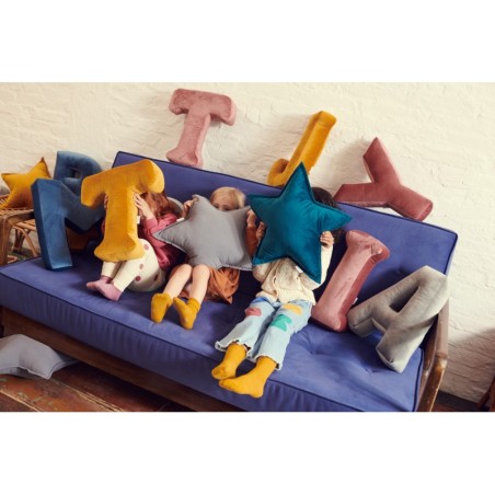 Velvet padi täheke, hall