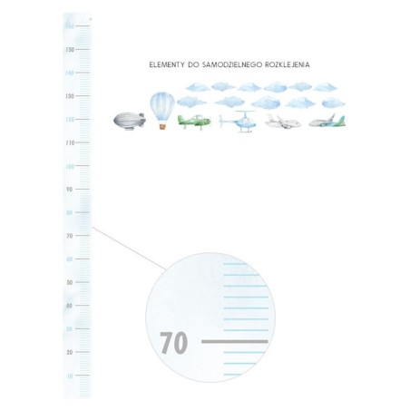 Seinakleebis mõõdupuu lennukid