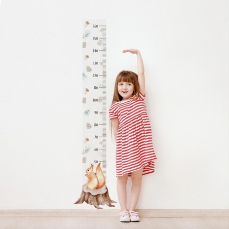 Seinakleebis mõõdupuu Orav