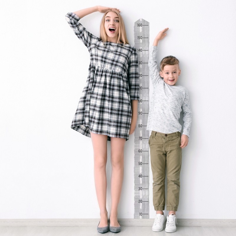 Seinakleebis mõõdupuu autotee