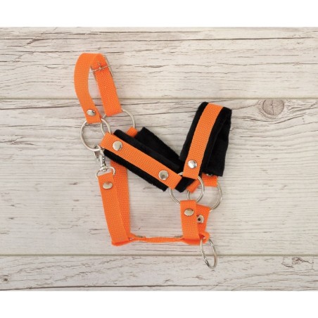 A3 hobihobuse päitsed reguleeritavad pehmendusega, oranž / must