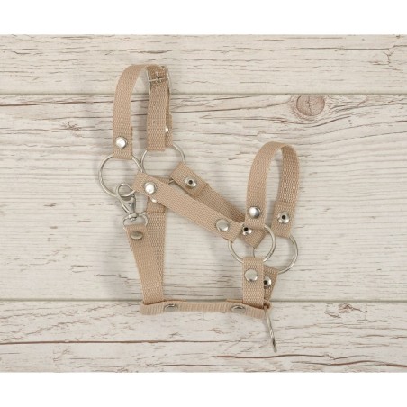 A3 hobihobuse päitsed reguleeritavad, beež