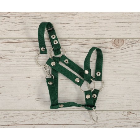 A3 hobihobuse päitsed reguleeritavad, bottle green