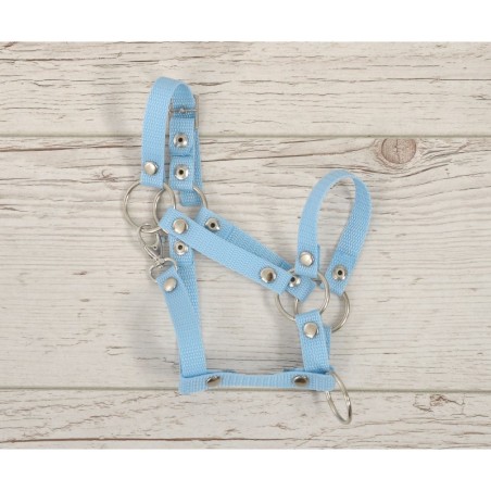 A3 hobihobuse päitsed reguleeritavad, helesinine