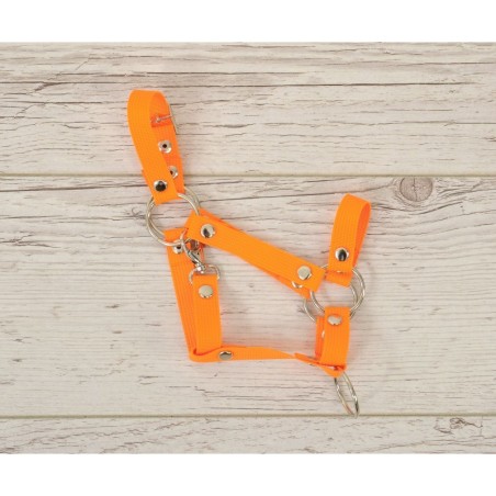 A3 hobihobuse päitsed reguleeritavad, neoon oranž