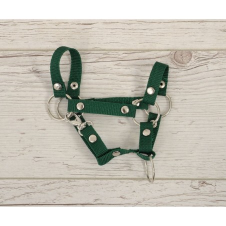 A4 hobihobuse päitsed, bottle green