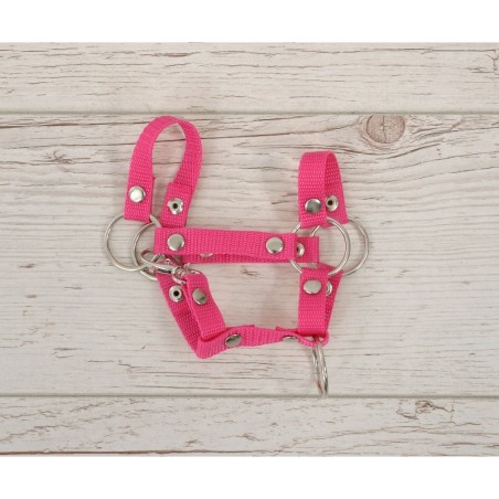 A4 hobihobuse päitsed, tumeroosa