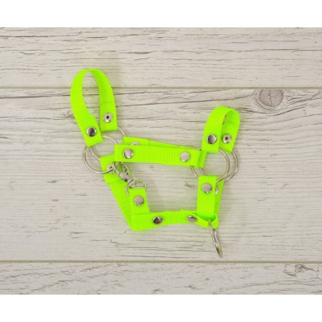 A4 hobihobuse päitsed, neoon roheline