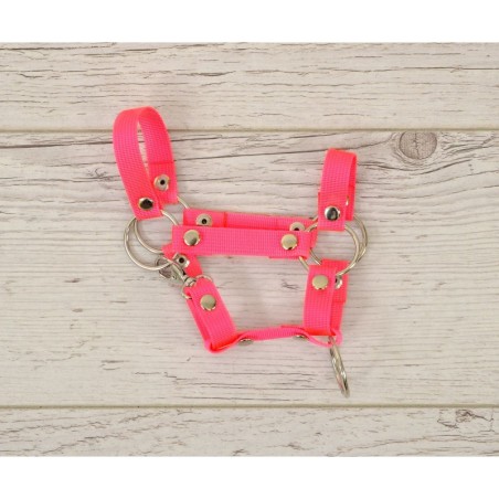 A4 hobihobuse päitsed, neoon roosa