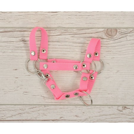 A4 hobihobuse päitsed, roosa