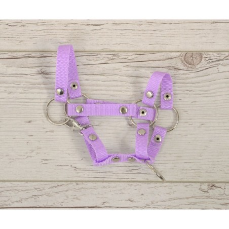 A4 hobihobuse päitsed, lilla