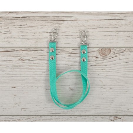 Hobihobuse ratsmed päitsetele, mint