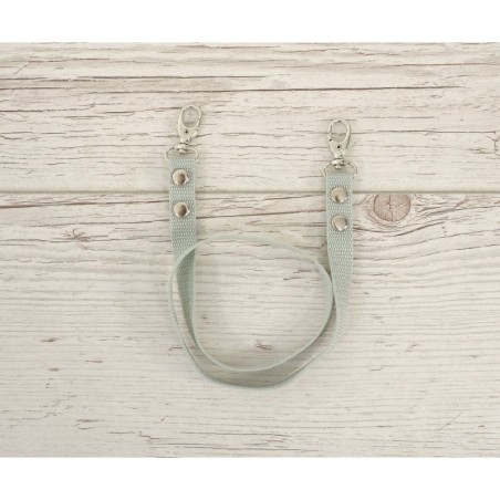 Hobihobuse ratsmed päitsetele, salvei