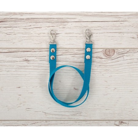 Hobihobuse ratsmed päitsetele, türkiis