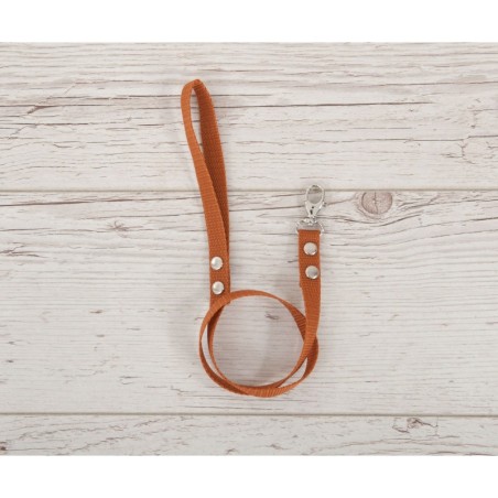 Hobihobuse ohelik päitsetele, ginger