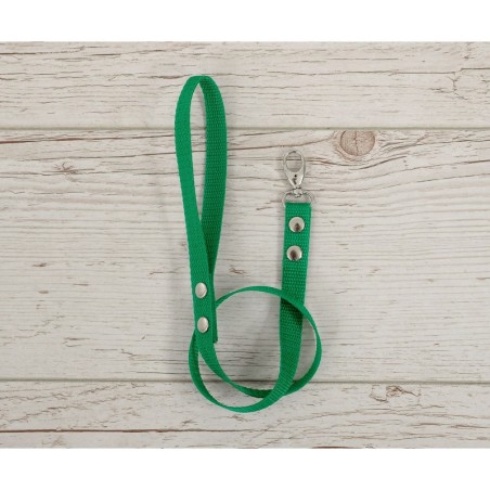 Hobihobuse ohelik päitsetele, roheline