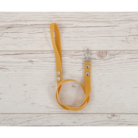 Hobihobuse ohelik päitsetele, sinepikollane