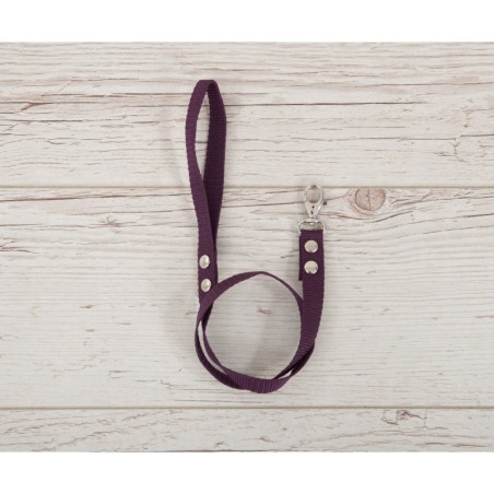 Hobihobuse ohelik päitsetele, ploom