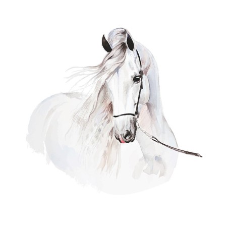 Seinakleebis hobune XL