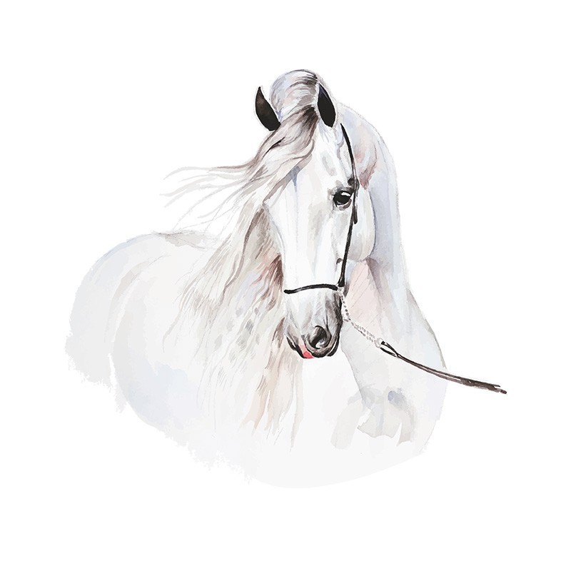 Seinakleebis hobune L