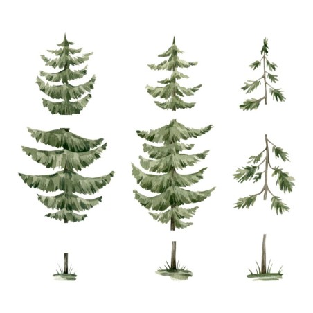 Seinakleebised mets ja loomad