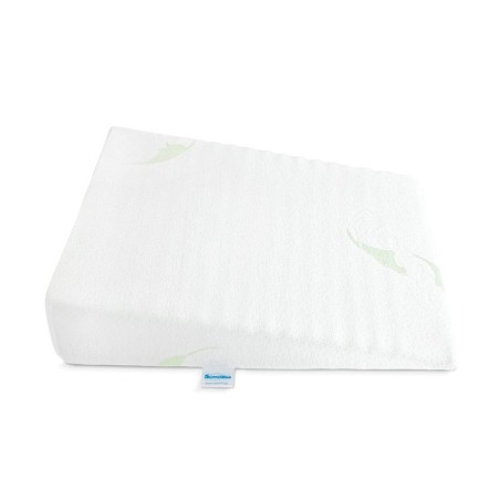 LUXE ALOE VERA KÄRU KIILPADI - 38X30CM