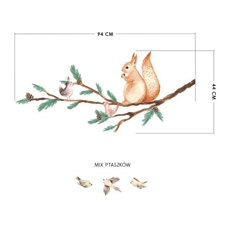 Seinakleebis orav oksal