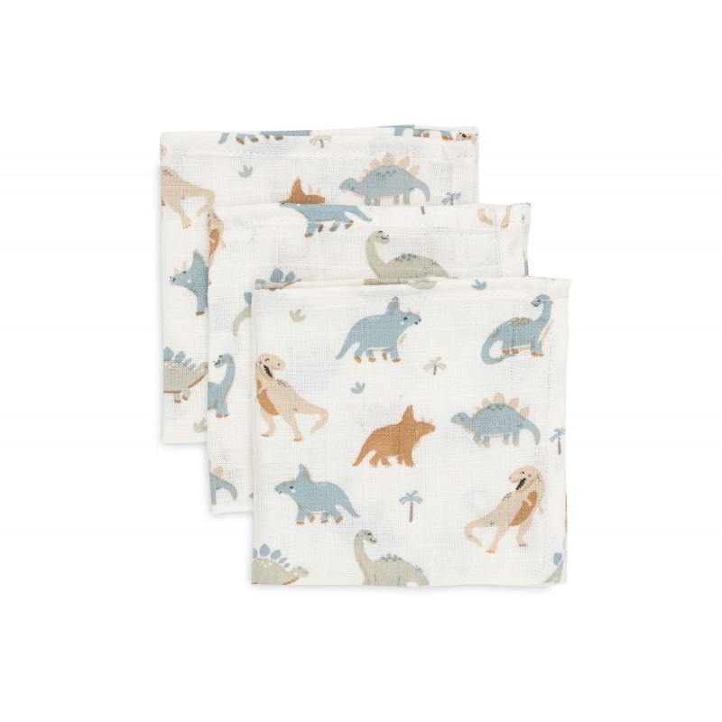 Musliin lapid 3 tk, 31x31 cm, Roarsome