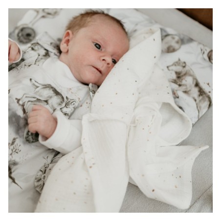 Beebi lapid (70x70 cm), 2-pakk