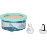 Arctic Music Box