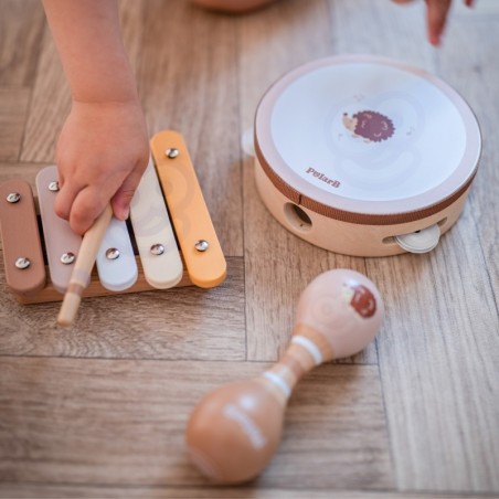 VIGA PolarB muusikariistade komplekt siiliga