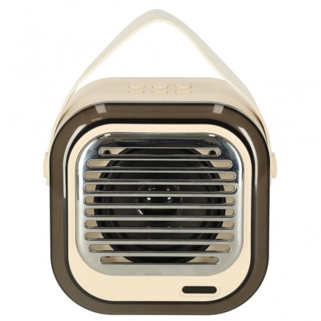 Kaasaskantav USB bluetooth karaoke kõlar mikrofonidega LED, kreem