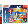 Sonic Puzzle 60 tk Sonic in action 17387
