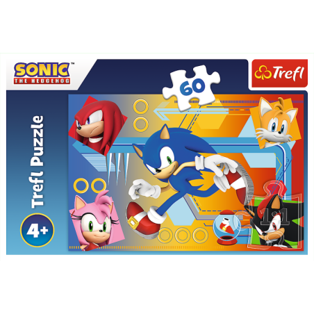 Sonic Puzzle 60 tk Sonic in action 17387