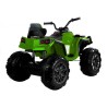 Elektrisõiduk Quad roheline