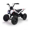 X-Treme Dirt elektriline ATV 24V Injusa