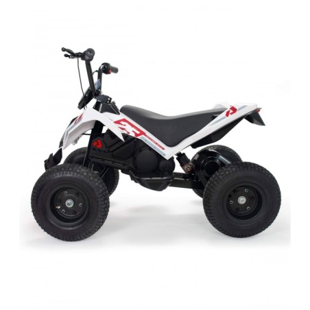 X-Treme Dirt elektriline ATV 24V Injusa