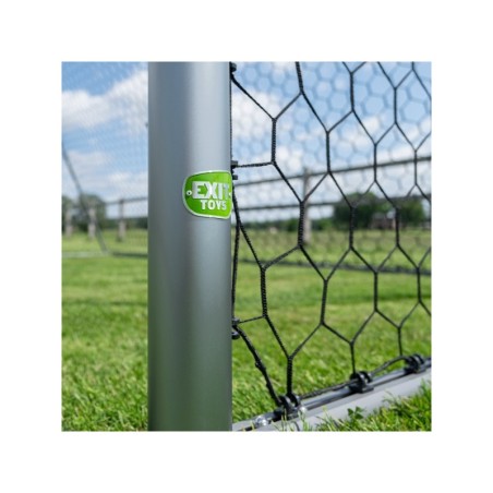 Jalgpallivärav Exit Scala alumiiniumvärav 220x120 cm