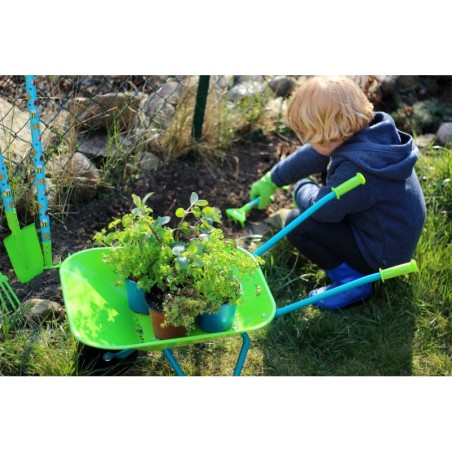 Suur aiakomplekt koos käruga