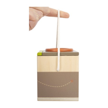 Putukakarp "Discover"