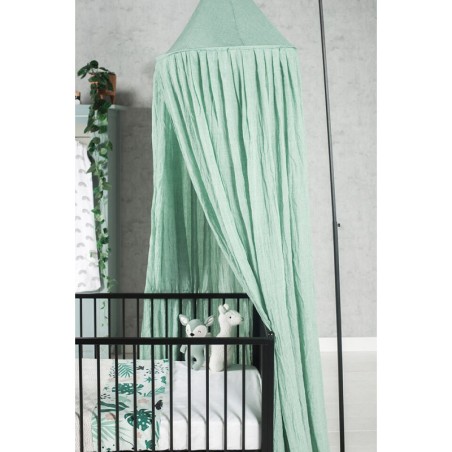 Baldahhiini hoidja, kuldne