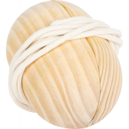 Kõndimisvaiad "Active"