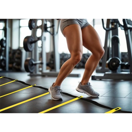 Koordinatsiooniredel 6m