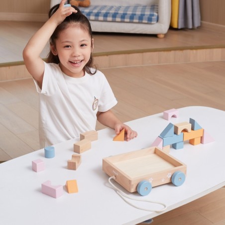 PolarB Puidust Tõmbamiskäru + Klotsid 21 tk.