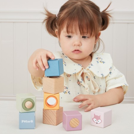 VIGA PolarB puidust sensoorsed klotsid